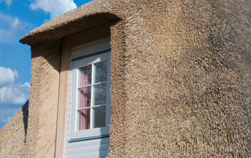 Shatterling thatch roof disadvantages